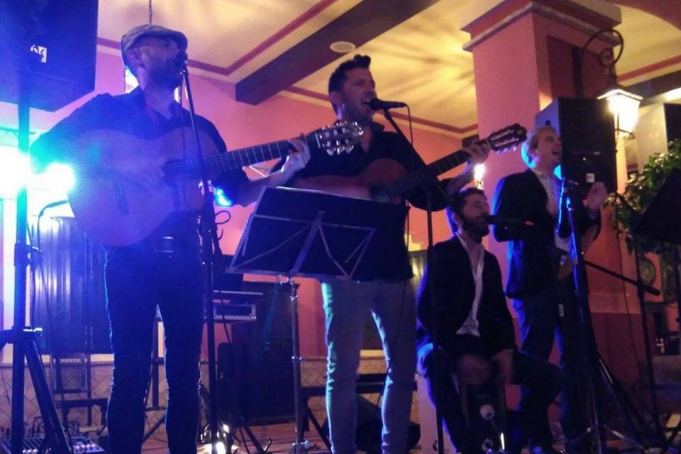 Bodas