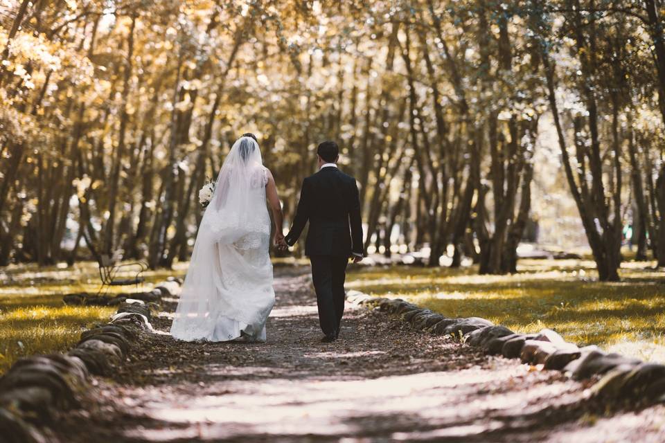 Sesión de novios en el bosque