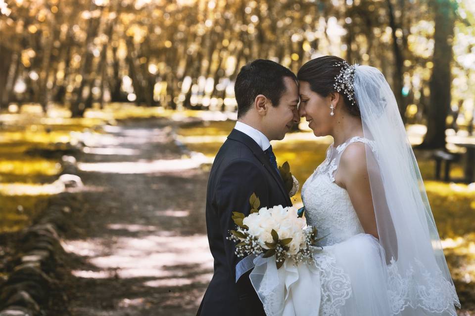 Sesión de novios en el bosque