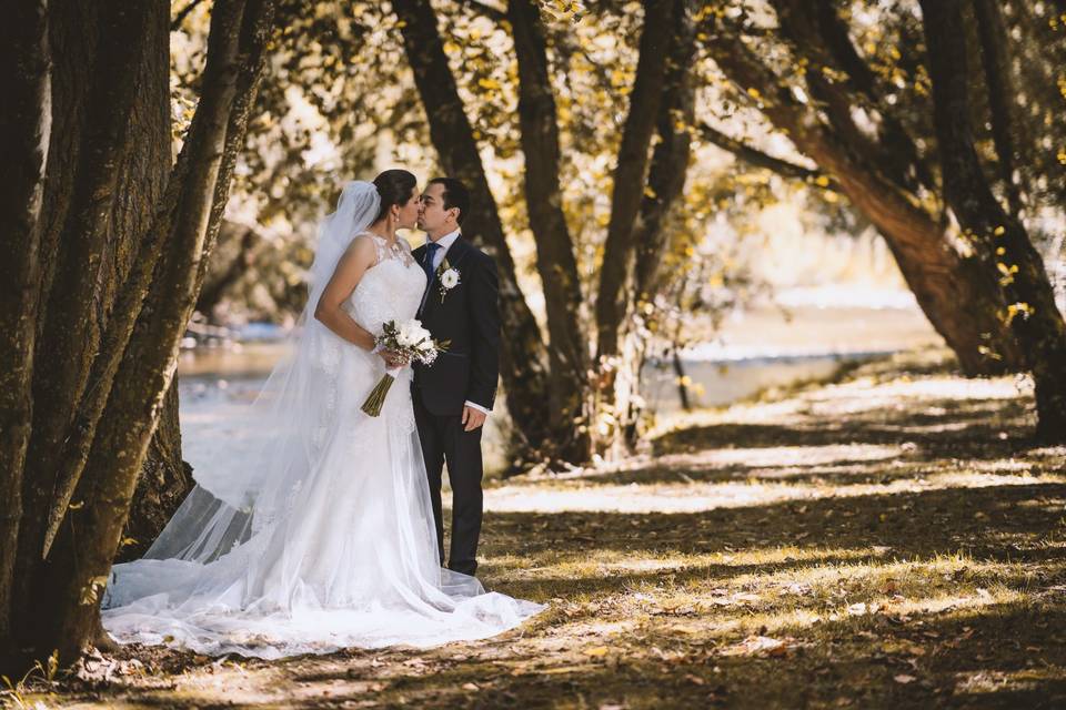 Sesión de novios en el bosque