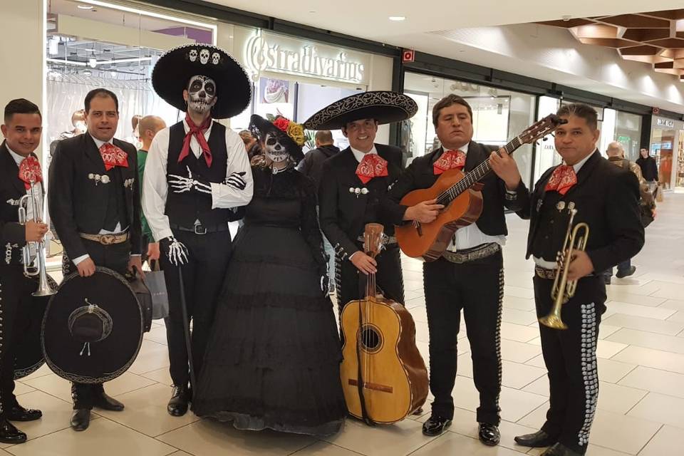 Mariachi Show