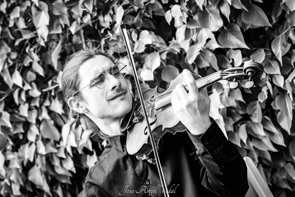 Violinista en cóctel