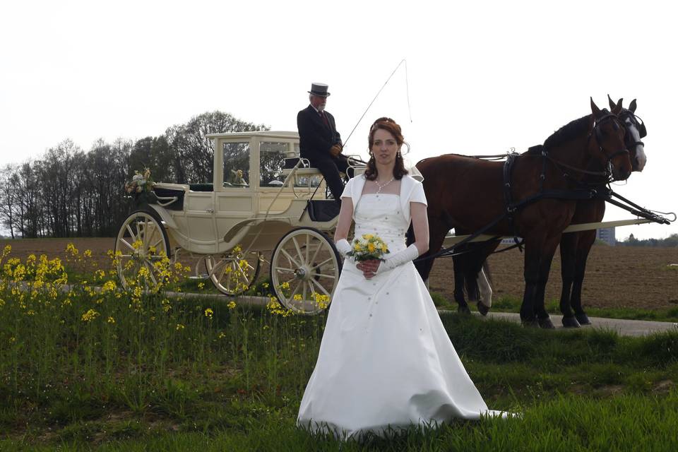 Fotografía de Bodas ©