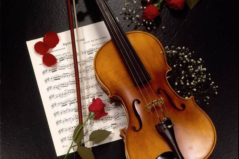 Elegancia del violín