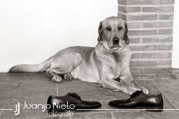 Fotografiando tus emociones