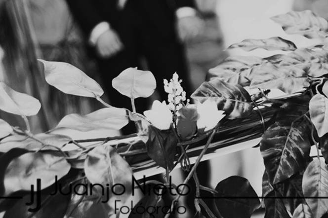 Fotografiando tus emociones
