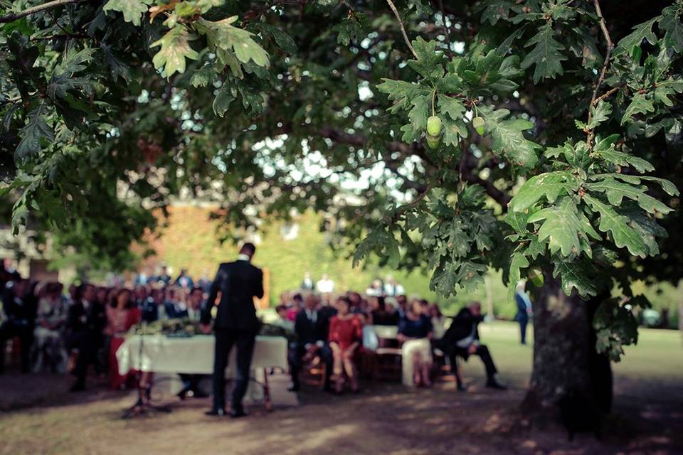 Ceremonia bajo el viejo roble