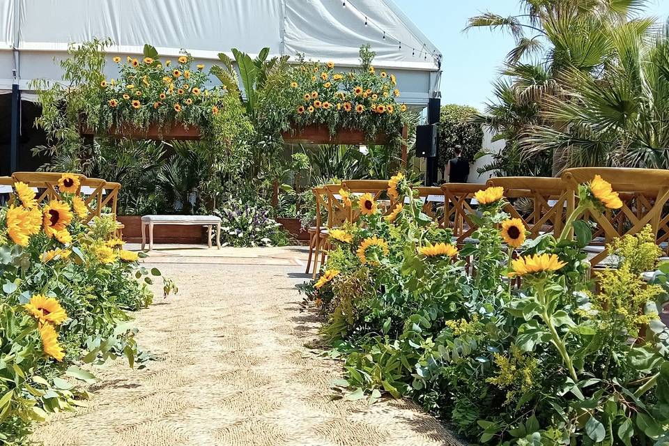 Girasoles