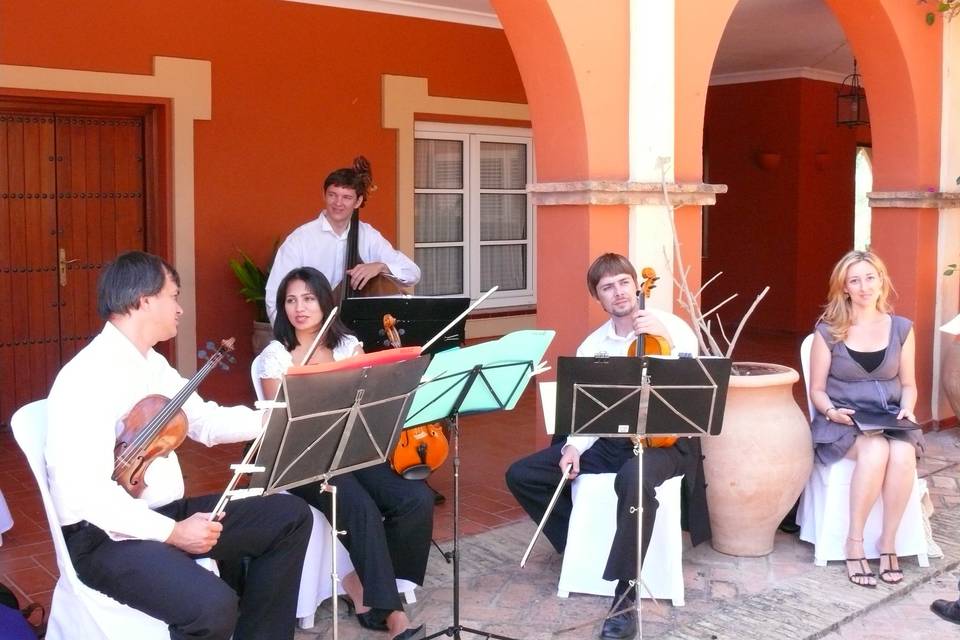 Sonorización bodas civiles