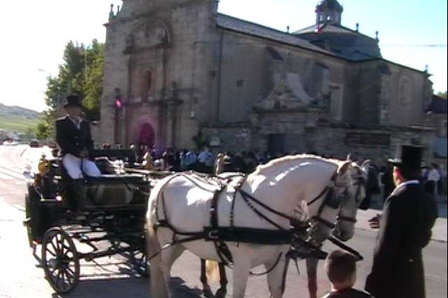 Paseos en carruaje