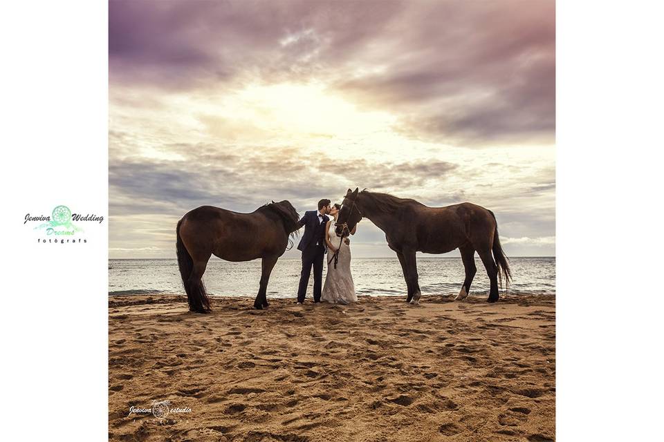 Caballos en la playa