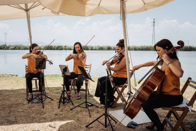 Cuarteto de Cuerda VEM