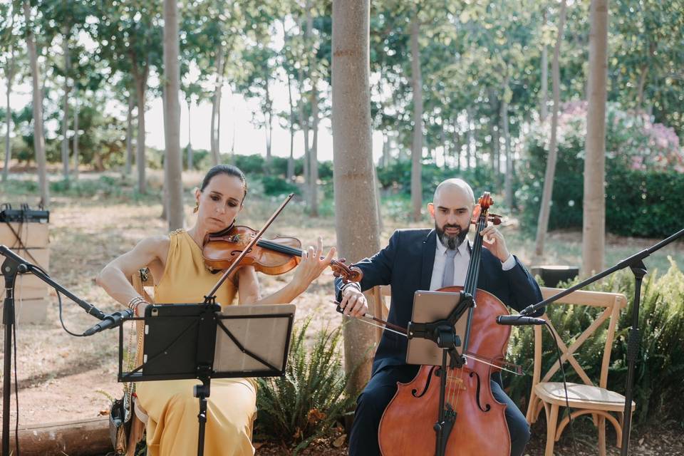 Dúo VEM - Violín y chelo