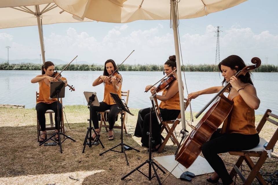 Cuarteto de Cuerda VEM