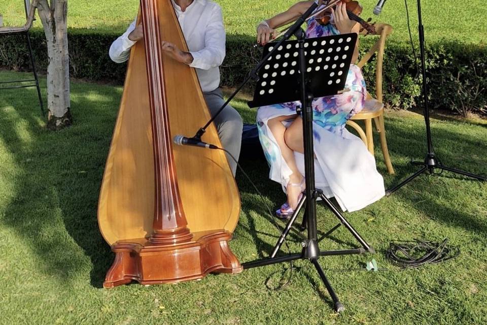Dúo arpa y violín VEM