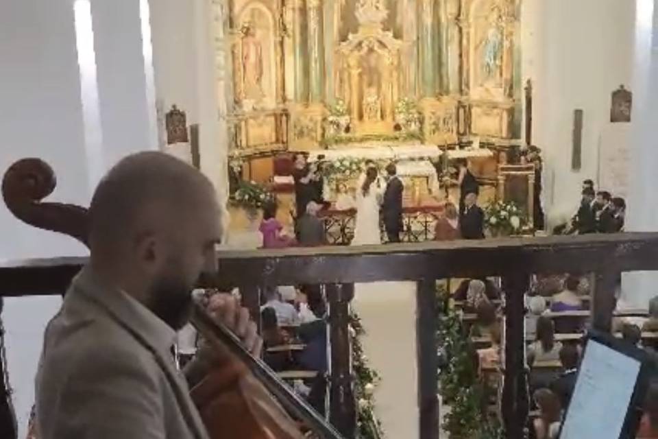 A solo VEM - Violonchelo