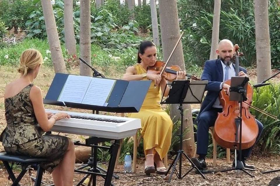 Trío VEM - Violín, piano y che