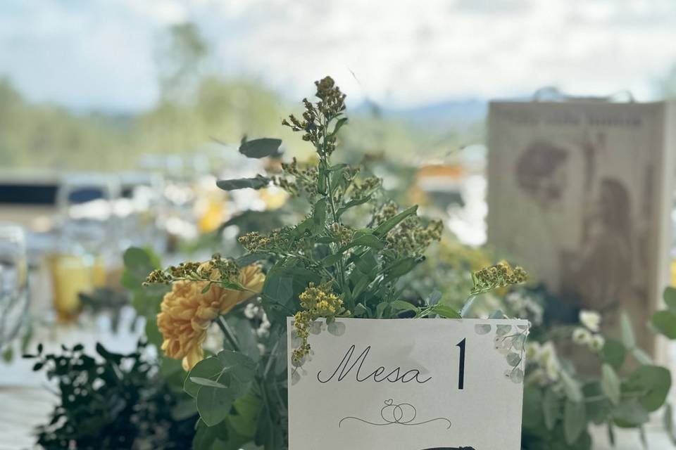 Mesas