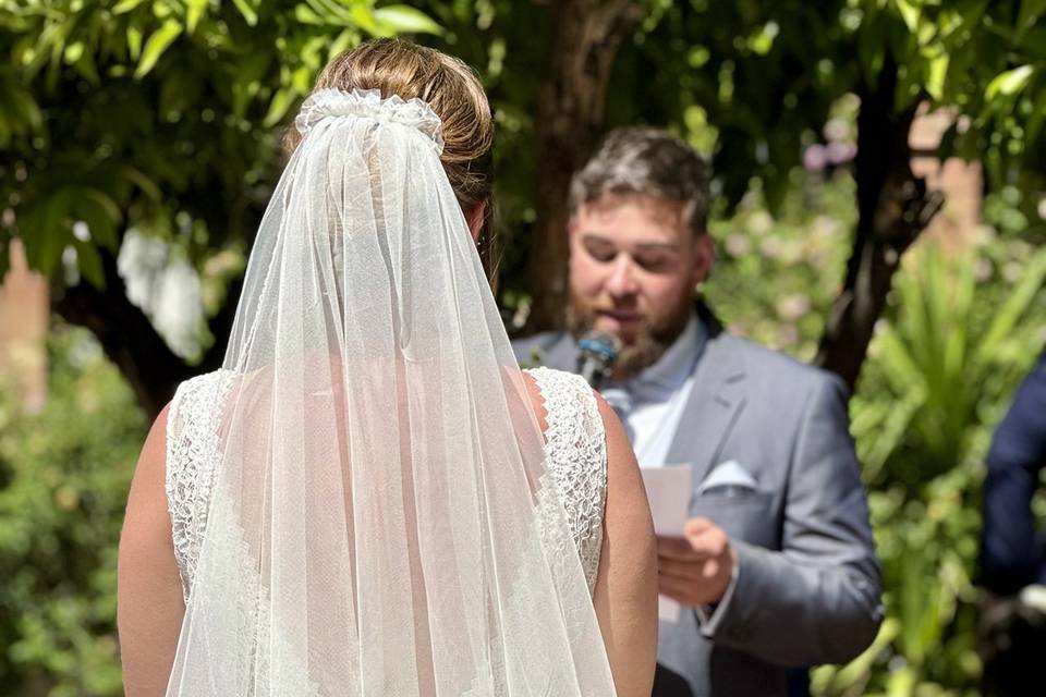 Novios