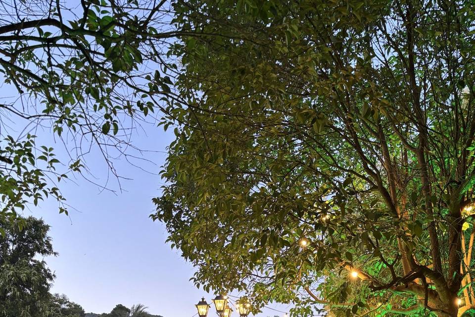 Copa de bienvenida