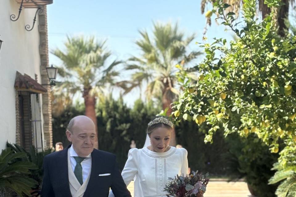 Novios