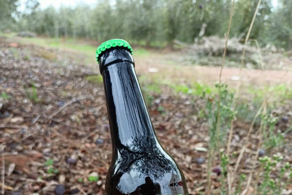 Cerveza ecológica