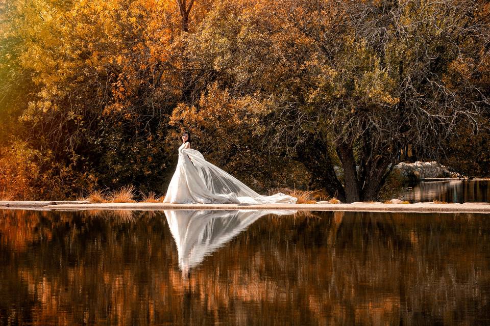 Sesión día de la boda