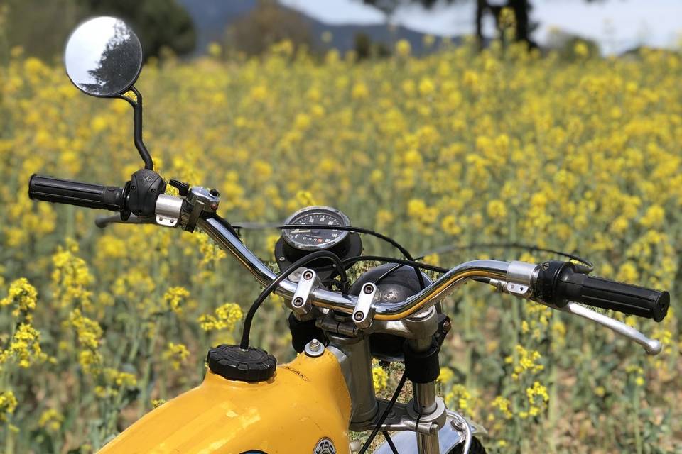 Bultaco Lobito MK7