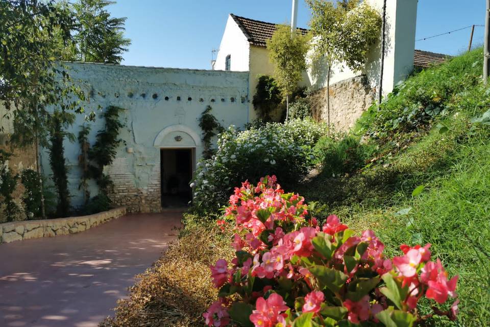 Hall de entrada - Paseo Rosa