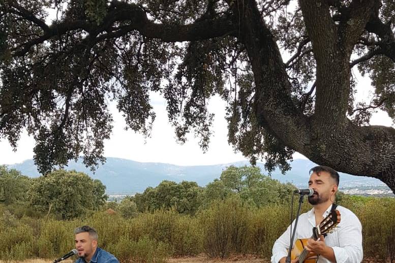 Boda collado Villalba