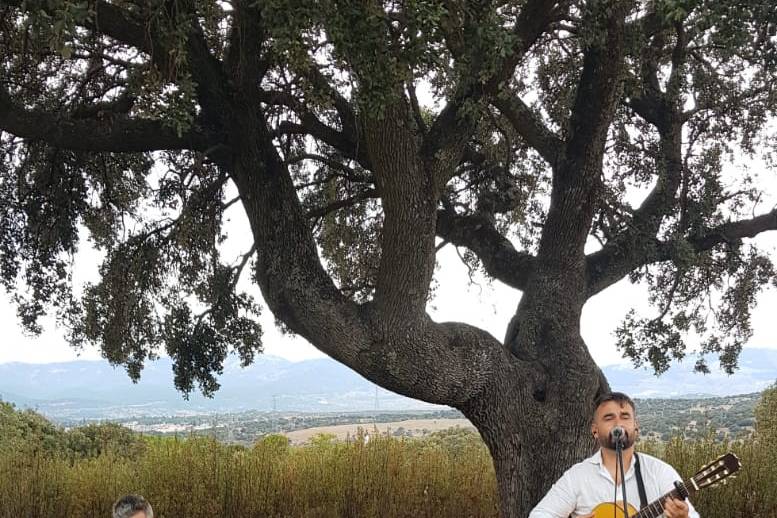 Boda collado Villalba