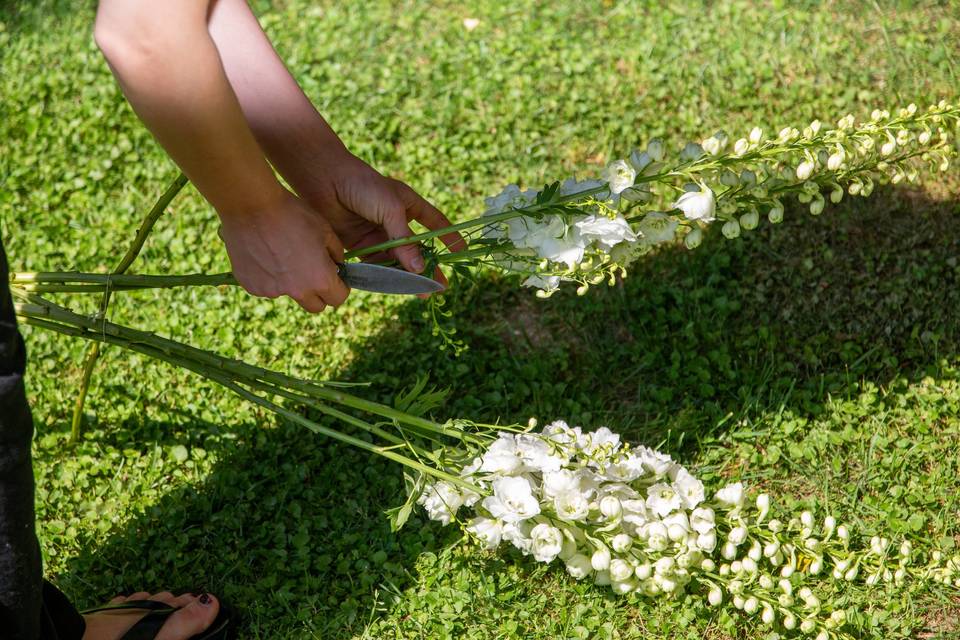 decoracion de jardin
