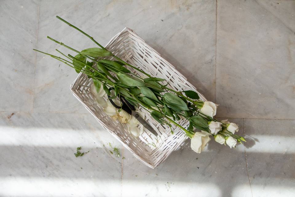 exhibicion floral