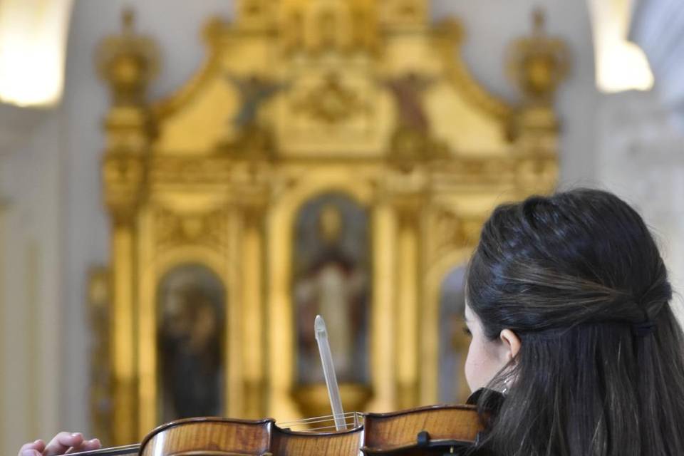 Violín solistas