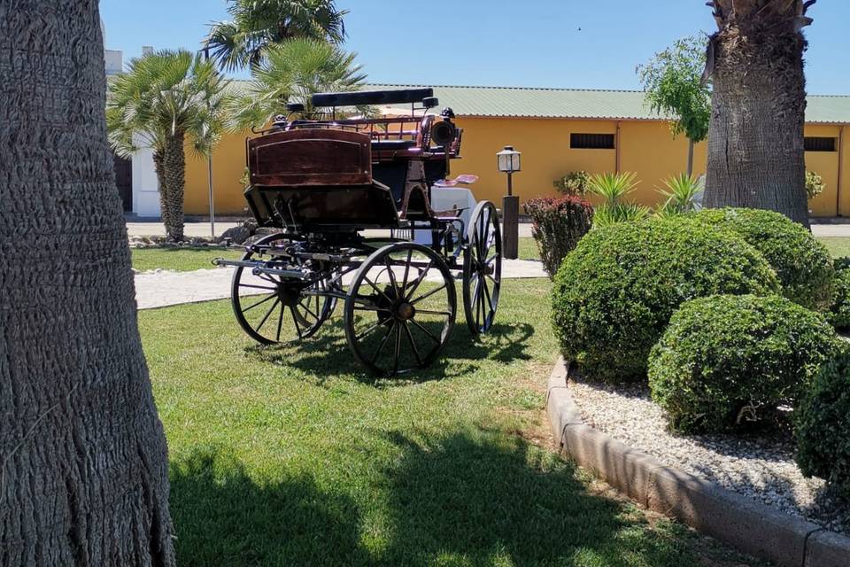 Finca Yeguada Urquijo