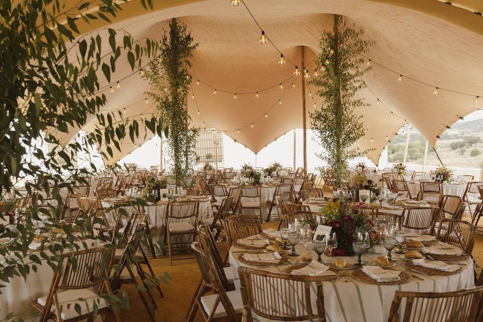 Refu y Guille