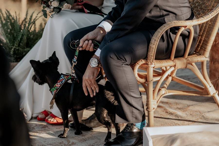 Boda maría y fran