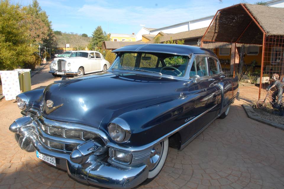 Cadillac Azul Mimado