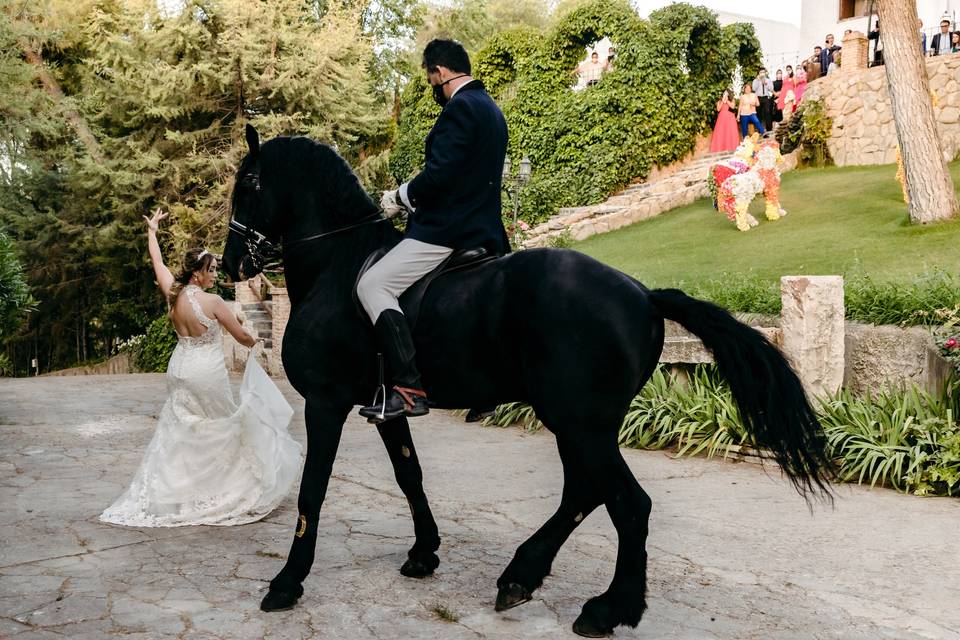 Foto Baile con caballo