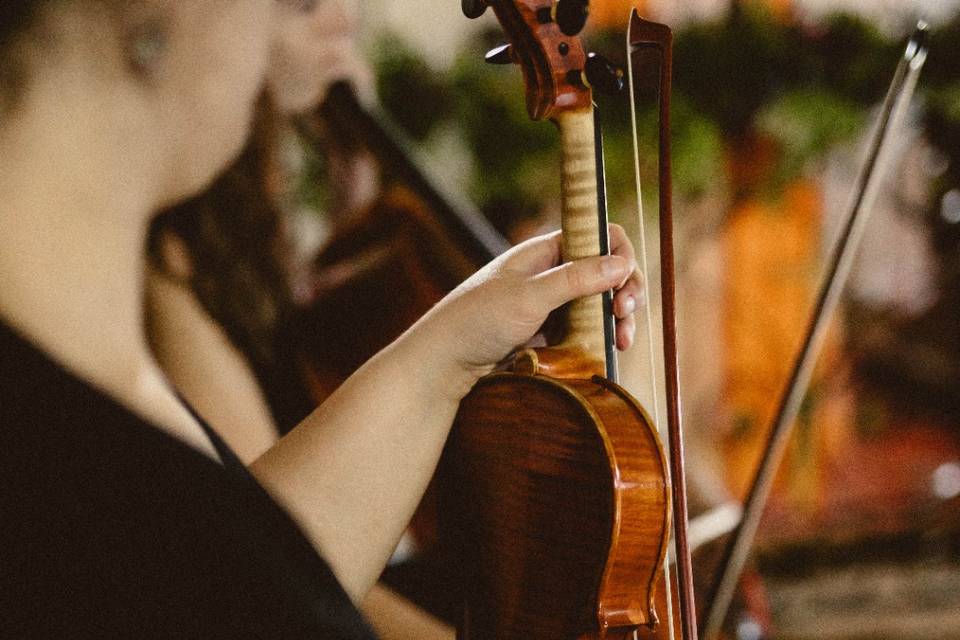 Violín