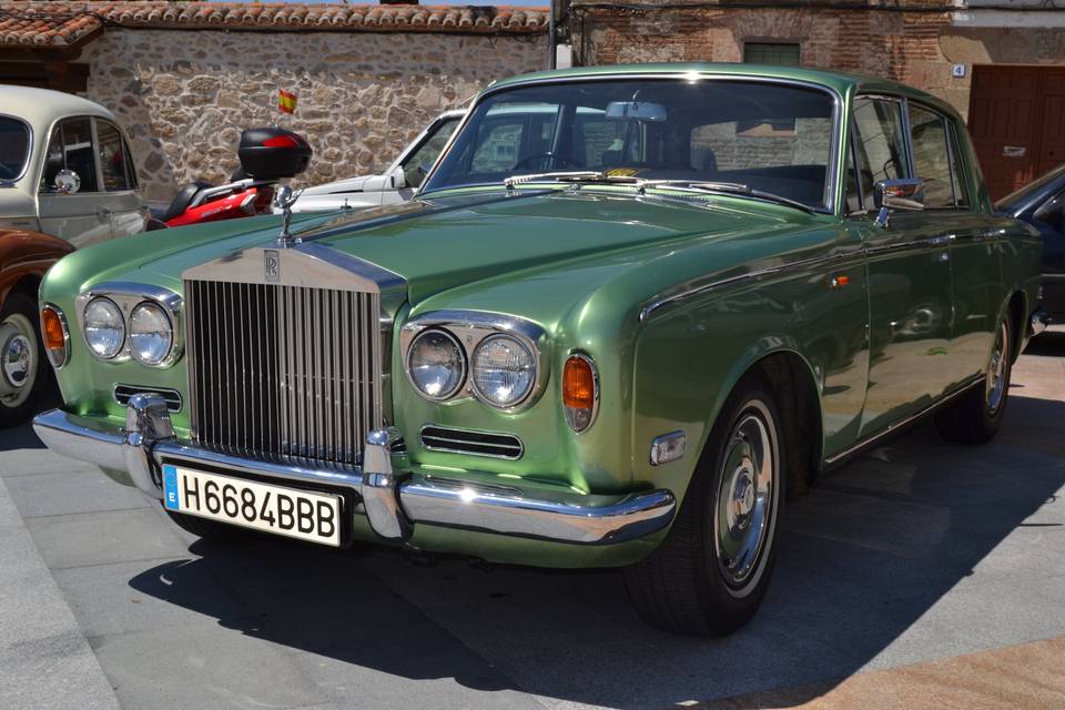 Rolls verde