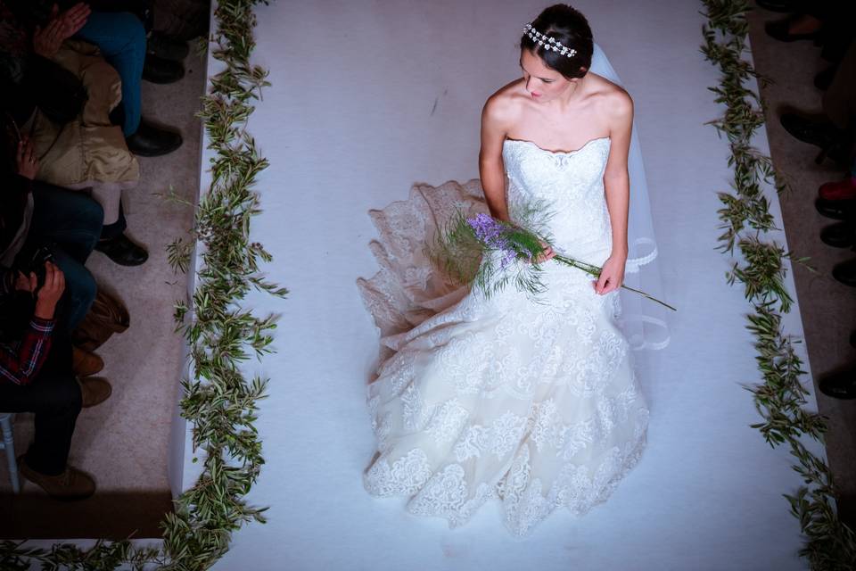 Desfile de novias