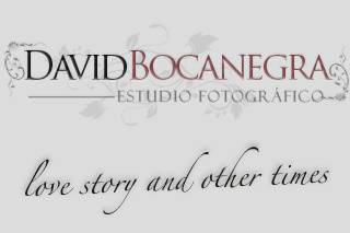 David Bocanegra