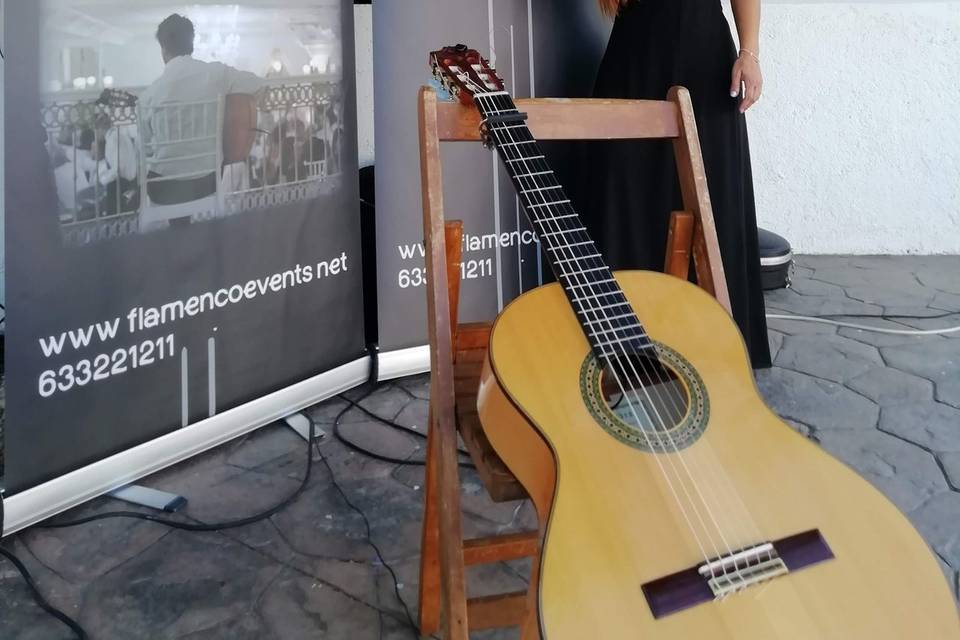 Guitarra Flamenca en directo