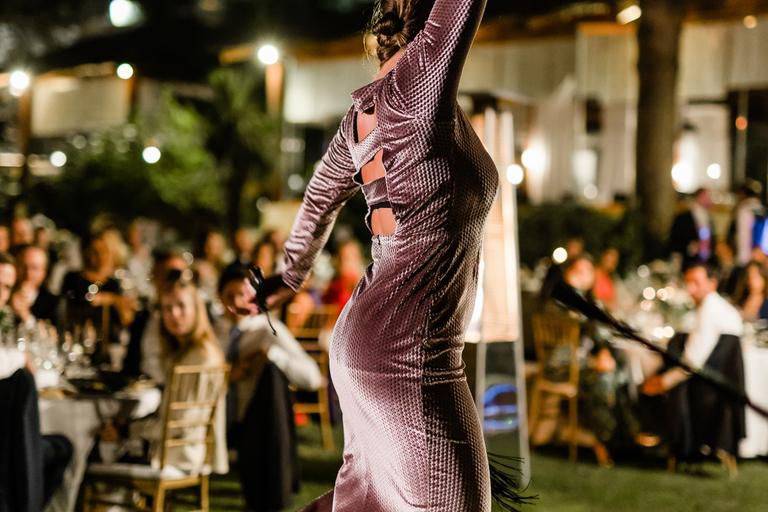 Flamenco elegante