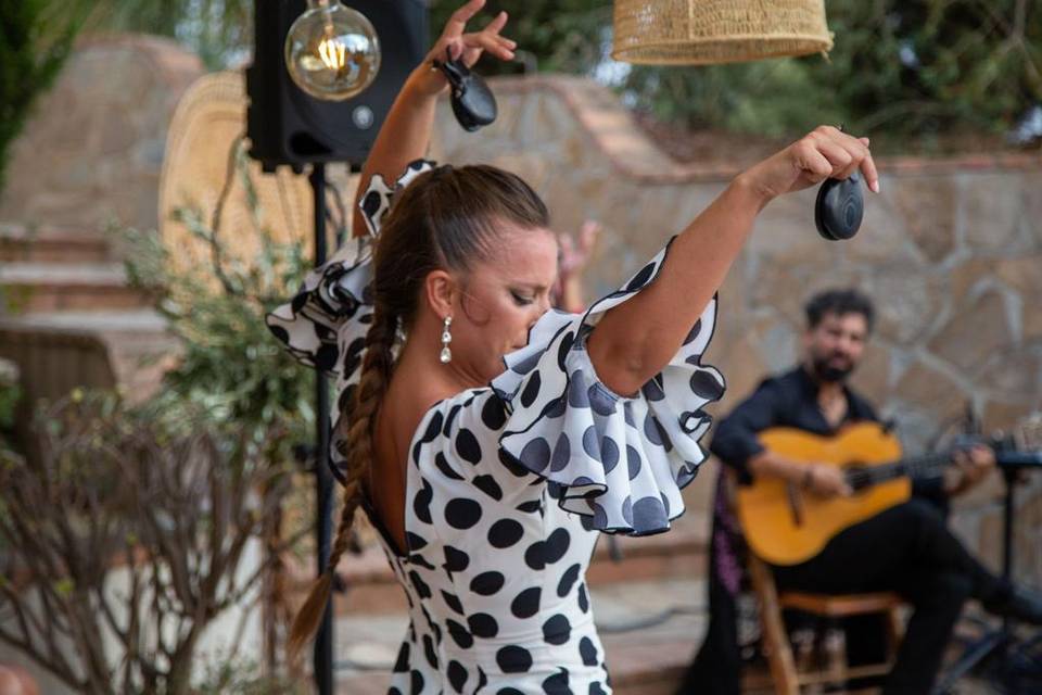 Guitarra flamenca  y baile