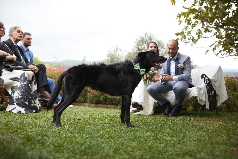 Boda de Víctor y Anna