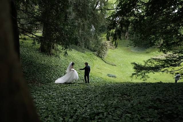 Amor en el bosque