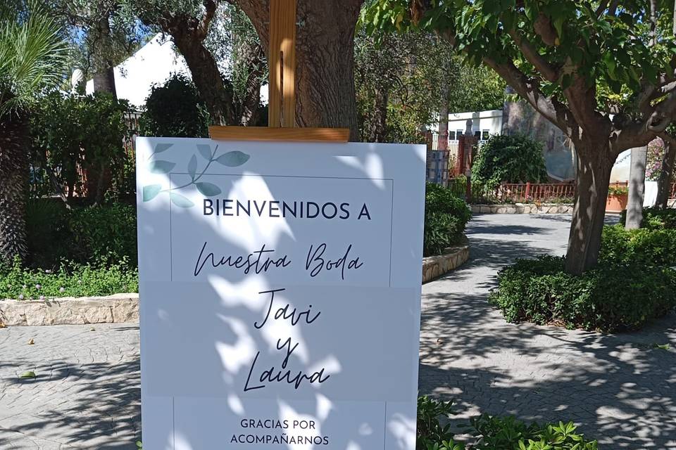 Detalle entrada