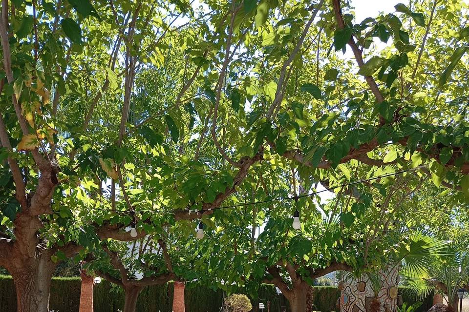 Banquete en el jardín